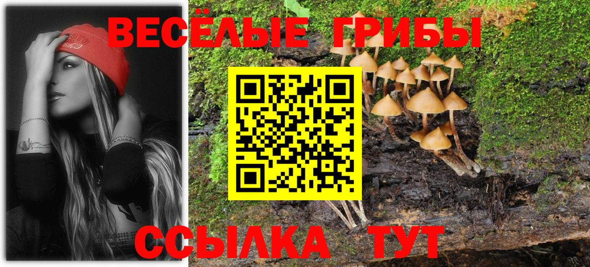 Галлюциногенные грибы Magic Shrooms  Галлюциногенные грибы мицелий  закладка  Рыбинск  Вход с VPN 